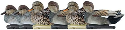 Avian-X Topflight Gadwall Durable Ultra Realistic Floating Hunting Duck Decoys, Pack of 6, AVX8085