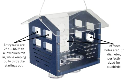 Jcs Wildlife Enclosed Bluebird Feeder 2.0 #TOP1