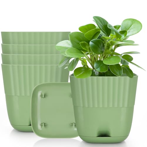 Sinolodo Vasos decorativos, conjunto de 3, verde, branco e azul (verde abacate, 12 cm (5 peças))