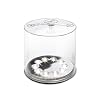 Luci 500 Mpowerd Outdoor Inflatable Solar Lantern
