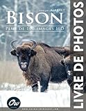 Bison: Livre de Photos - Plus de 100 images HD
