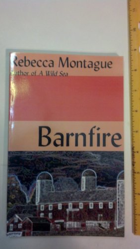 Barnfire view 2
