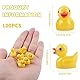 Fzyisw Mini Harz Entchen 100 Stück Miniatur Enten, Mini Resin Ducks für DIY Potting Micro Landschaft Dekorationen