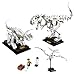 Produktbild LEGO Ideas 21320 Dinosaurier-Fossilien Konstruktionsspielzeug, ab 16J , 910 Stück