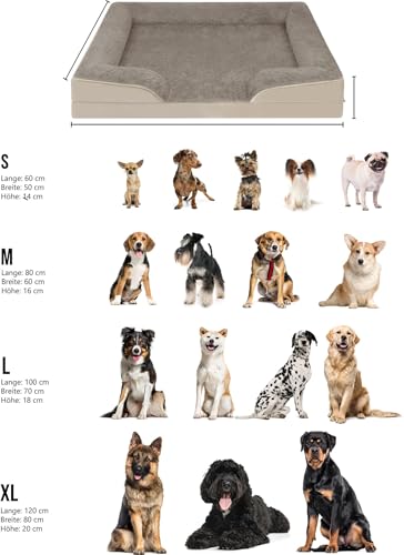 normani Ergonomisches Hundebett für große, mittlere und kleine Hunde - Ortopädisches Hundekissen - Hundecouch mit hohem Rand Farbe Beige Größe 60 cm x 80 cm x 16 cm