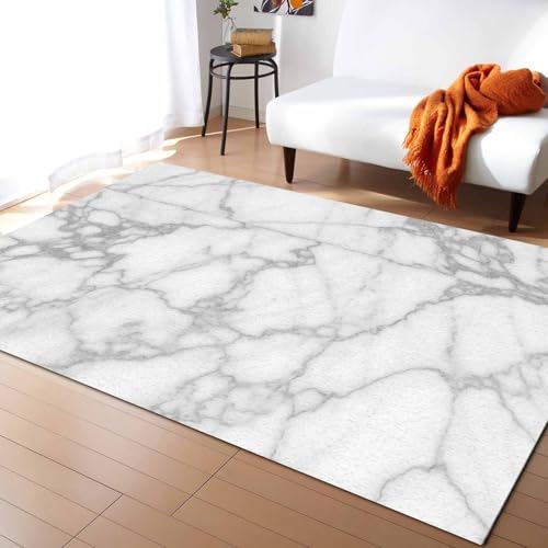 Gray Marble Area Rugs 3x5 for Bedroom Living Room, Non-Slip