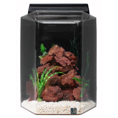 Seaclear 20 Gal Deluxe Hexagon Acrylic Aquarium Combo Set, 15 By 15 By 24", Cobalt Blue #TOP9