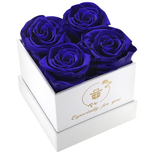 Creatyi 4 Roses Preserved Real Roses Gifts Forever Roses Box Flower Box Fresh Flowers for Delivery Prime Real Roses That Last for Mom Grandma Girlfriend Wife, Mother's Day Birthday Christmas Valentine's Day Gift (Royal Blue)