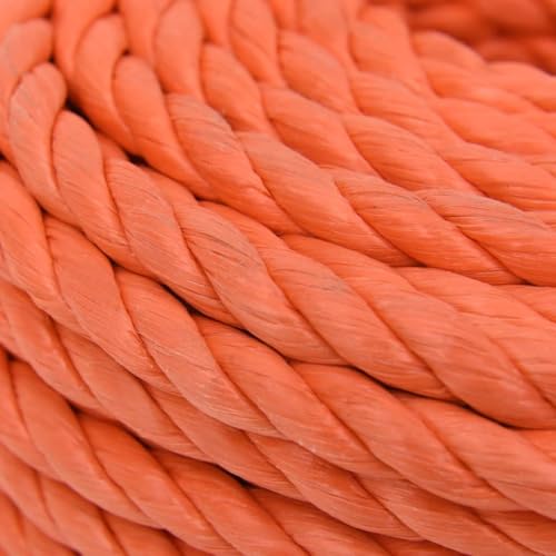 vidaXL Arbeitsseil Bodenarbeitsseil Arbeitsleine Mehrzweckleine Seil Bootsleine Allzweckseil Schnur Tau Leine Gedreht Orange 20mm 100m Polypropylen