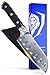 DALSTRONG Mini Santoku Knife - Shogun Series - 5" - Japanese AUS-10V - Damascus Layered - Vacuum Heat Treated -w/Guard