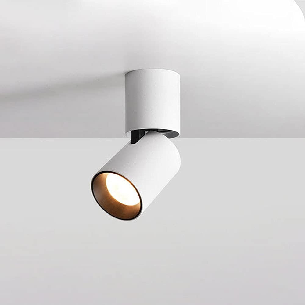 ITOSUI Ceiling Spotlight LED Rotatable Accent Ceiling Lamp, 12W Ceiling Light Fixture Adjustable Directional Spot Light, Nordic Indoor Ceiling Spotlights for Living Room Bedroom (Color : White-6000K)