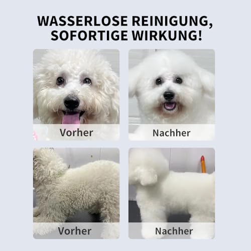 Trockenshampoo Hund & Katze – Wasserloses Hundeshampoo Schaum für empfindliche & juckende Haut – Sanfte Reinigung ohne Ausspülen – Anti-Juckreiz Trockenpflege, 200 ml