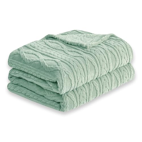 COOVA Manta de forro polar suave de terciopelo Shu de 330 g/m², tejido jacquard ligero, tamaño Queen, súper suave, mullida y acogedora para sofá, cama, campamento y exteriores, verde frijol, 60 x 80