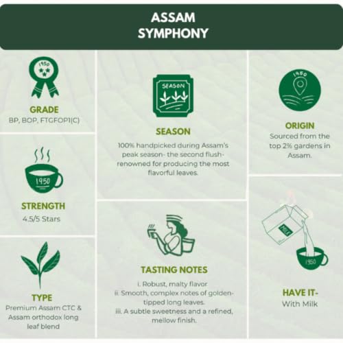 Image of 1950 Origins Premium Assam & Darjeeling Black Tea Combo Pack of 3 Tin Caddies (3 x 150g) | Symphony, Royal Assam & Regal Harmony | 100% Natural Long Leaf Loose Tea | Rich, Strong & Fresh Flavor