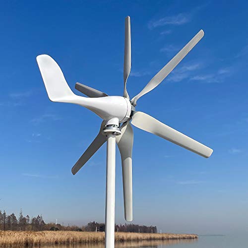 800W turbina eólico 12V 24V 48V generador de viento horizontal con 6 cuchillas y controlador MPPT libre para uso doméstico (12 V con controlador)