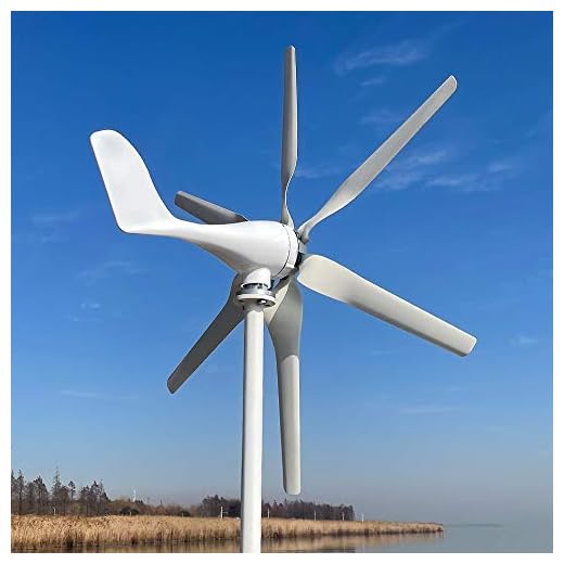 800W turbina eólico 12V 24V 48V generador de viento horizontal con 6 cuchillas y controlador MPPT libre para uso doméstico (12 V con controlador)