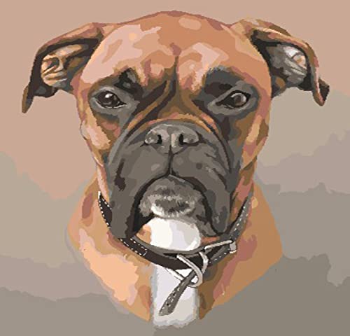 Point de croix débutant pré-imprimé motif chien broderie fils couleur