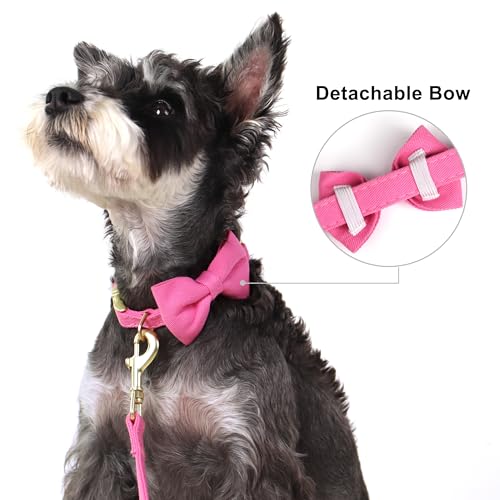 Beirui Adorable Small Dog Harness Collar and Leash Set,Cute Puppy Harness Set with 3 Bows for Small Dogs,Shih Tzu,Dachshund,Adjustable Step-in Vest for Walking,Parties&Holiday Outfits(Hot Pink,S)