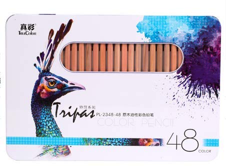 Crayon de couleur de peinture à l'huile pour dessin artistique pot de 48 pièces