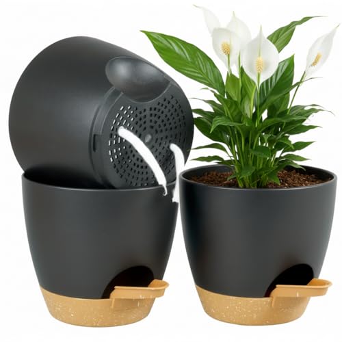 Kalizoi Macetero de 16,5 cm con plato, autoriego con agujeros de drenaje, maceta para plantas interiores y exteriores (juego de 3, negro)