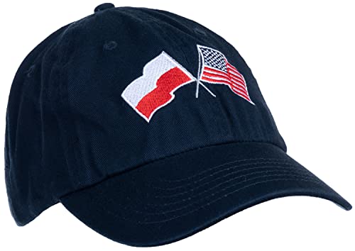 Image of Ann Arbor T-shirt Co. American Friendship Nations Flag Baseball Low Profile Dad Hat for Men Women