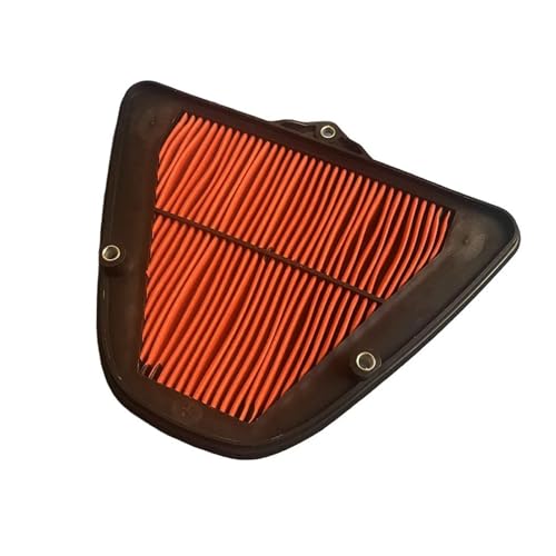 DSDBDNN Ersatz Luftfilter für Motorrad, Einlasselement kompatibel mit Kawasaki VN1700 Vulcan 1700 Voyager ABS 2009-2016