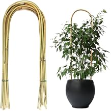 20 Pack Bamboo U Trellis for Potted Plants - 16 Inch U-Shaped Plant Support Hoop, Heavy-Duty Arch Stake for Climbing Vines Cucumbers, Indoor/Outdoor Rustic Garden Training Frame