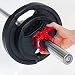 C.P. Sports - Discos de pesas con goma, 1 par de discos...