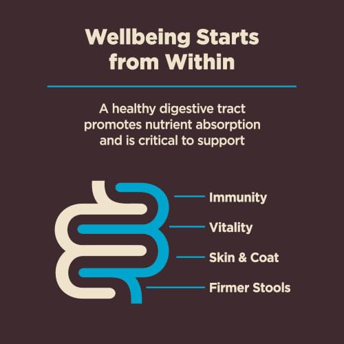 Wellness CORE Digestive Health Adult Dry Dog Food, Wholesome Grain Kibble, Sensitive Stomach, Natural, High Protein, Chicken Free, Whitefish and Brown Rice Recipe, 4 lb Bag - image 7