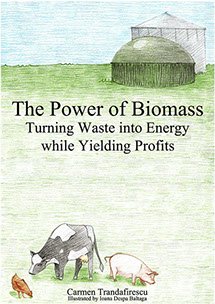 Paperback The Power of Biomass - Turning Waste into Energy while Yielding Profits Book