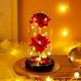 保存された花 彼女の永遠のための花束 プラスチック花 母の日 誕生日 母 女性 妻 ガールフレンド ベスト フレンド 赤い 永遠のバラ アート デコ