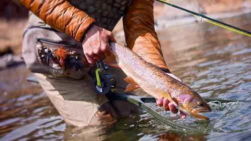 Image of Scientific Anglers Absolute Fluorocarbon Trout Tippet - 30m