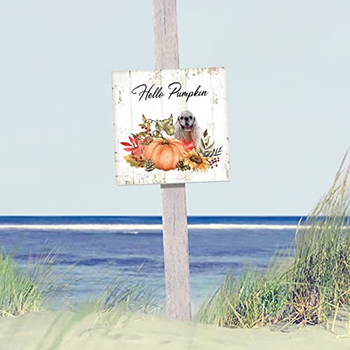 Plaque murale en bois rustique artisanale Hello Pumpkin - 6