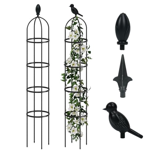 Bamworld Tutores para Plantas Trepadoras 175 cm Obelisco Jardín, Soporte Metálico Redondo para Rosas Clemátides Jazmín, Tutor Antioxidation Interior Exterior