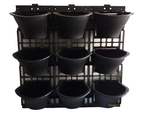 See full amazon price history chart for Green Paradise® Vertical Garden planters Panel 3 Frames + 9 Pots Green Paradise® Vertical Garden planters Panel 3 Frames + 9 Pots (B07VDSNBYD) Amazon Price History, Amazon Price Tracker
