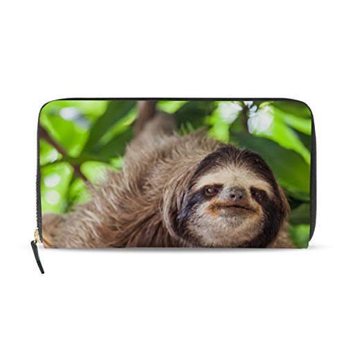 Porte-cartes en cuir rigide motif arbre femme contre le désordre