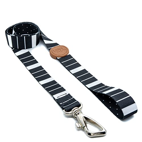 Conjunto Peitoral Neoprene e Guia, Eclipse, M, Toh