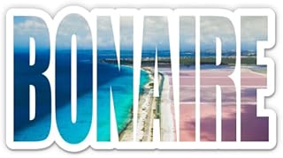 Squiddy Bonaire - Vinyl Sticker Decal for Phone, Laptop, Water Bottle (4" Wide)