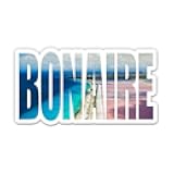 Squiddy Bonaire - Vinyl Sticker Decal for Phone, Laptop, Water Bottle (4