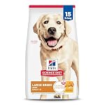 41oVfqAsi0L. SS150