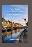 Quiet Light on Northern Streets: A Practical Guide to Everyday Life in Copenhagen