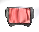 Der Luftfilter verhindert, dass Schleifpartikel in den Motor eindringen;Der Zylinder kann letztendlich Leistung, Drehmoment erhöhen und die Benzinkilometer verbessern.