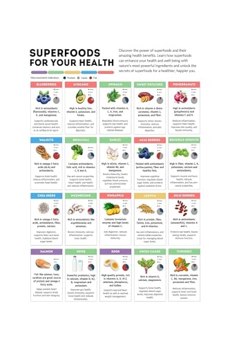 Plant Based Superfood Spectrum Chart Hammered Metal Sign Vitamin Mineral Encyclopedia Meal Prep Reference Art 8 X 12 inch