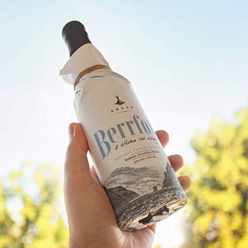 Berrfott - Hidromel Carvalho E Pimenta ARVEN HIDROMEIS Sabor CARVALHO E PIMENTA 350Ml