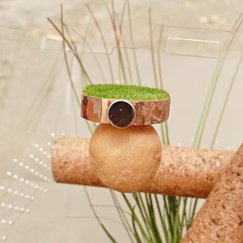 Habitat Para Aranhas | Escalada para Aranhas - Esconderijo Magnético Artesanal Para Casa De Tarântul