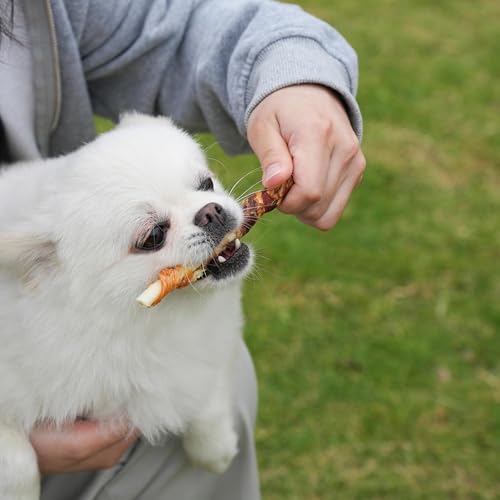 Image of MON2SUN Dog Treats, 5 Inch, Double Flavor Chicken & Duck Rawhide Sticks | 40 Count Pack, Double Flavor, Teeth Cleaning, Long-Lasting Chew, High-protein and Low-fat, Suitable for Small Dogs