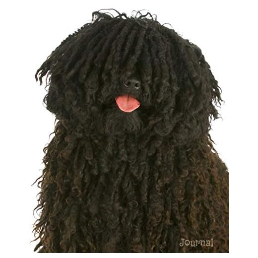 Journal: Happy Puli Dog