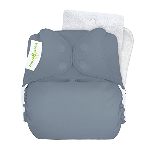 bumGenius Original One-Size Pocket-Style Cloth Diaper 5.0 (Armadillo)