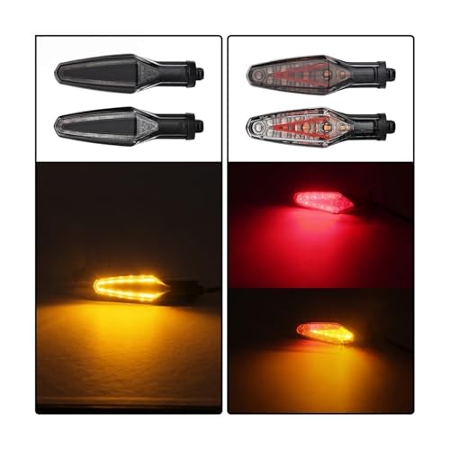 Luz trasera e intermitentes LED para rutas en BMW R1250GS 2022 4