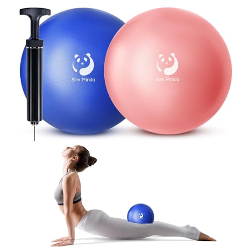 Slim Panda Ballon Pilates Petite,23 cm Anti-Slip Ballon de Gymnastique avec Pompe,Soft Yoga Ball Équilibre pour,Fitness,Entraînement à l'équilibre (Buse...